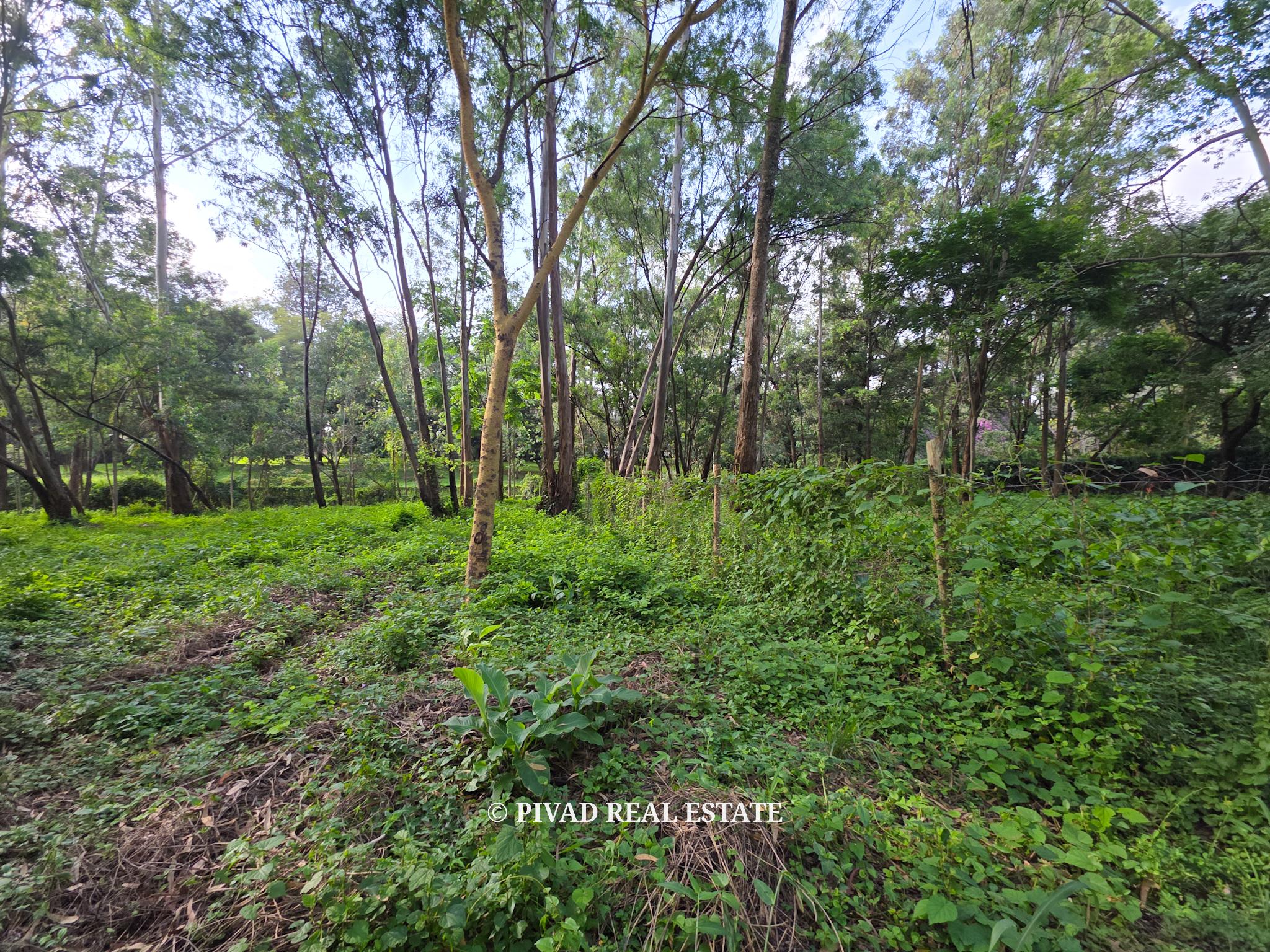 0.5 Acre Plot Available For Sale in Lake View, Westlands