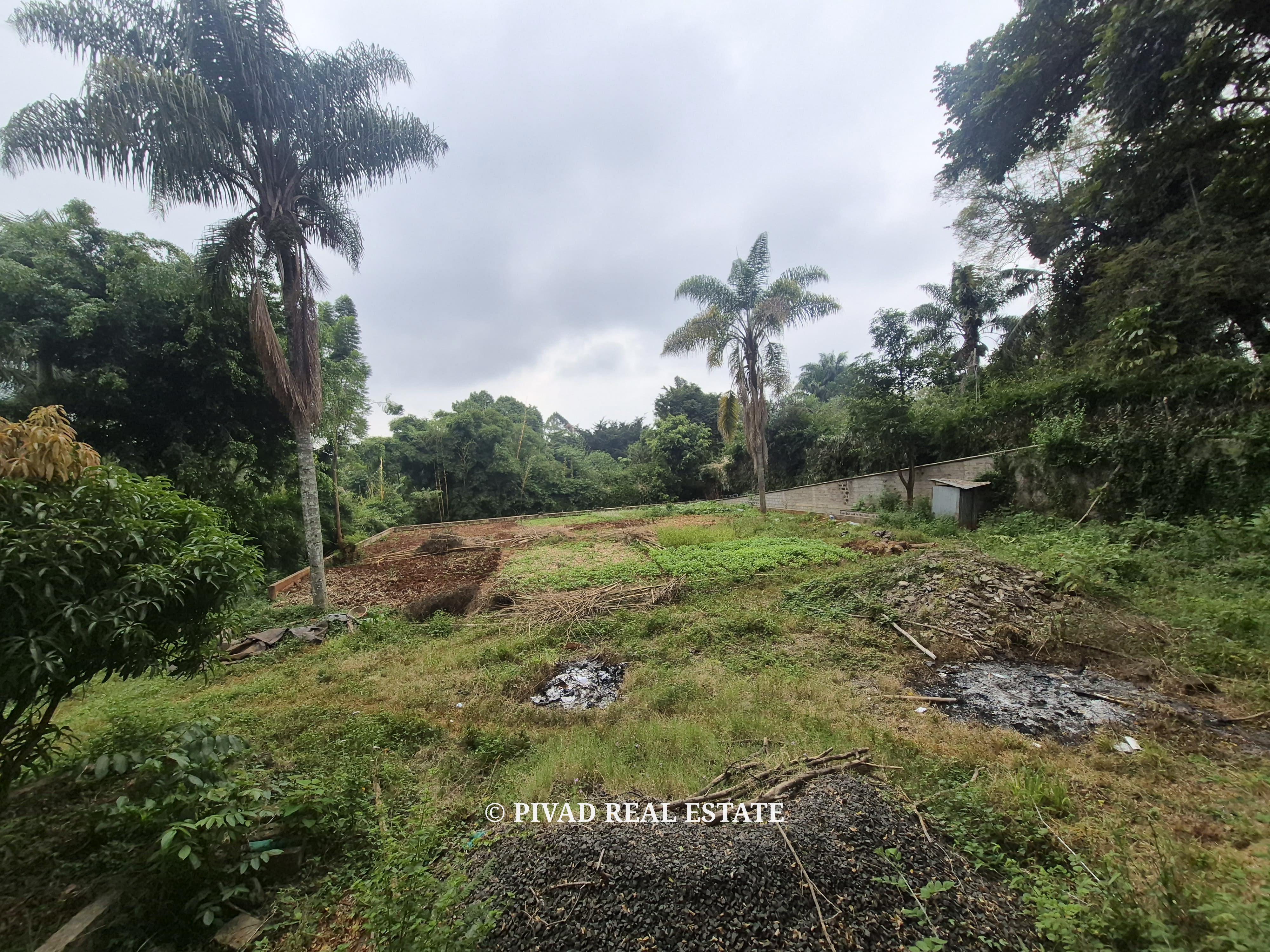 0.5 Acre Land for Sale – Gigiri Whispers