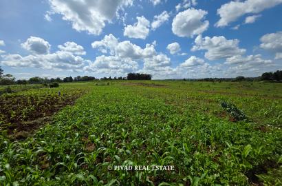 Prime Development of 10 Acres in New Kitisuru For Sale