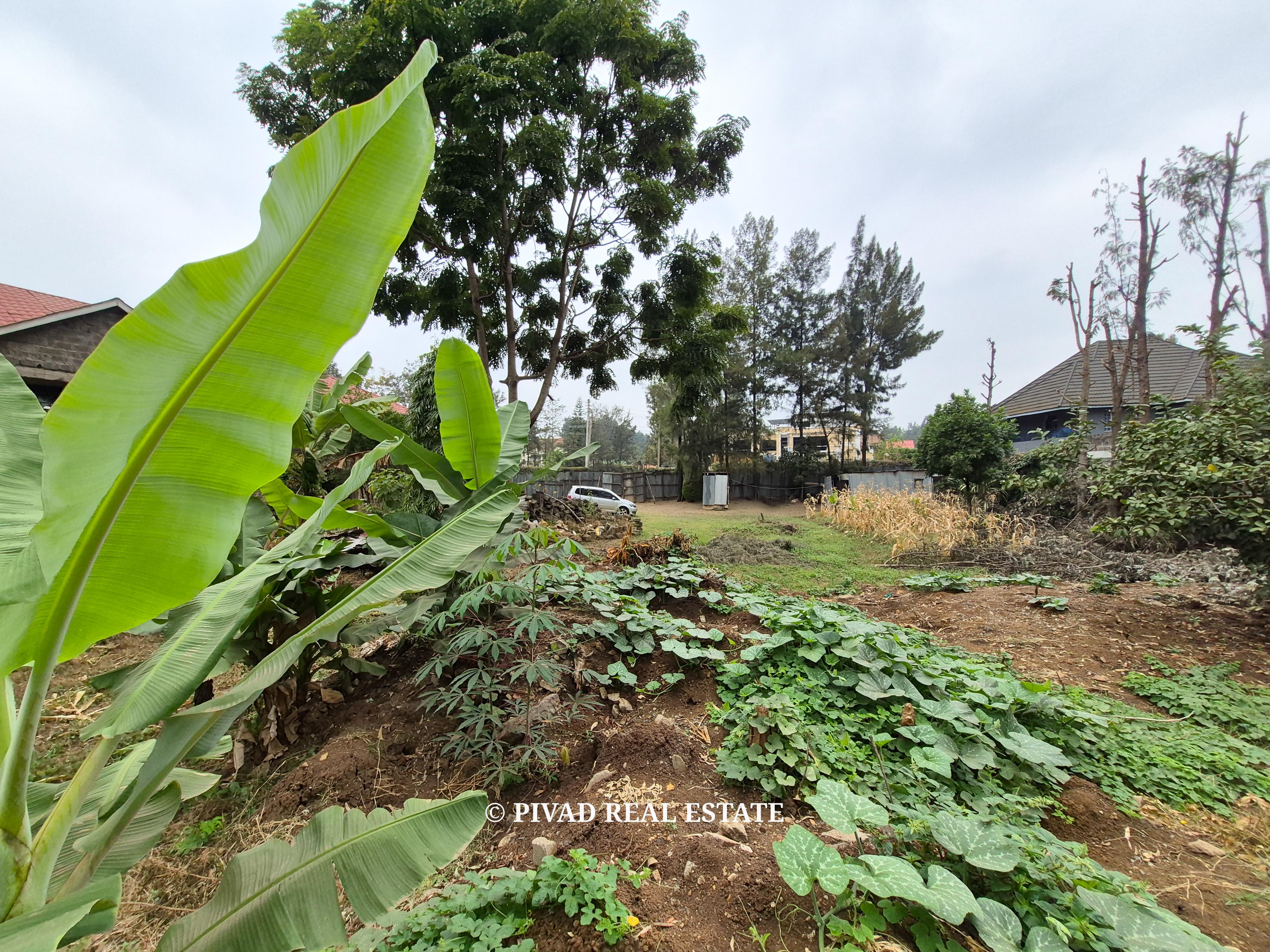 Quarter Acre Plot for Sale – Garden Estate