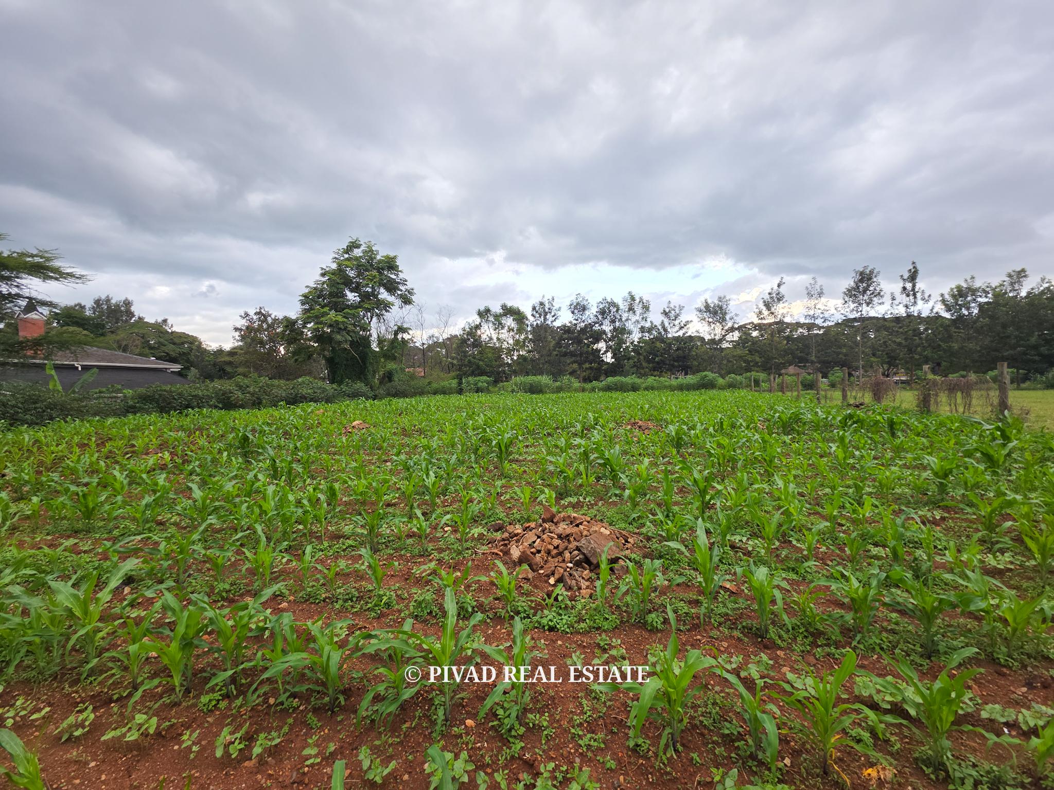 0.5 Acre Land Available For Sale at Ridgeways Estate