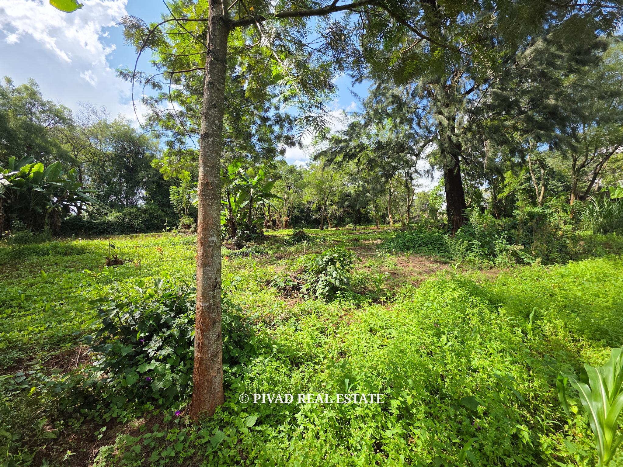 2.3 Acre Residential Land Available For Sale in Old Kitisuru, Along Ngecha road