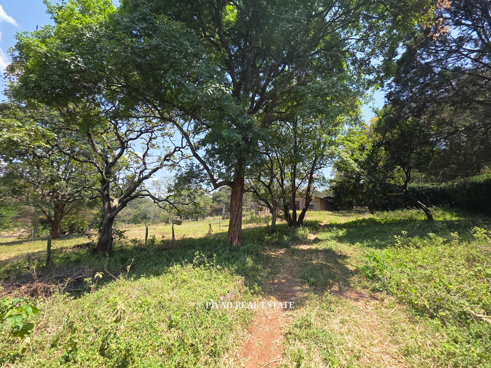 20 Acre land Available for Joint Venture in Karen off Marula lane