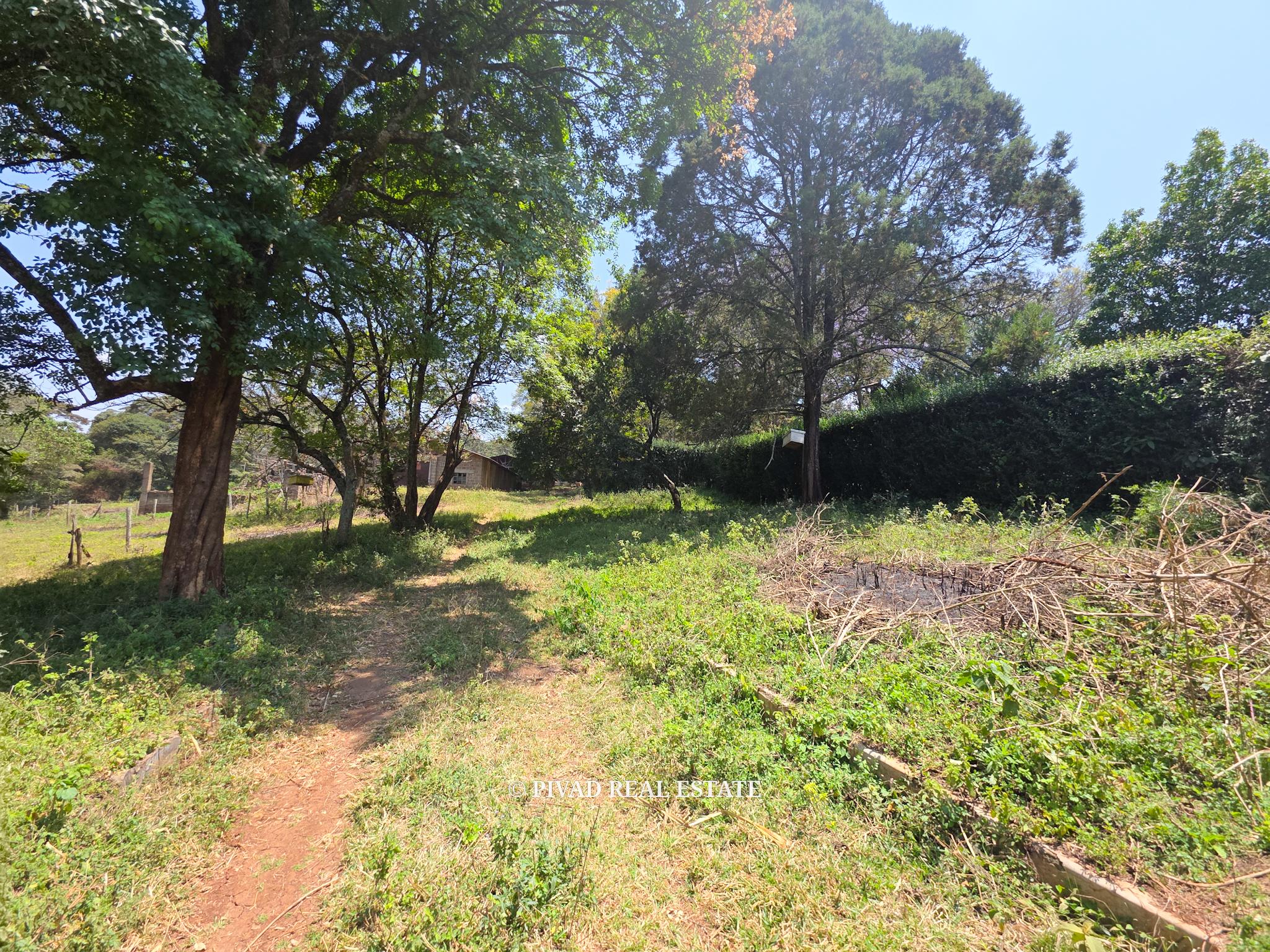 20 Acre land Available for Joint Venture in Karen off Marula lane