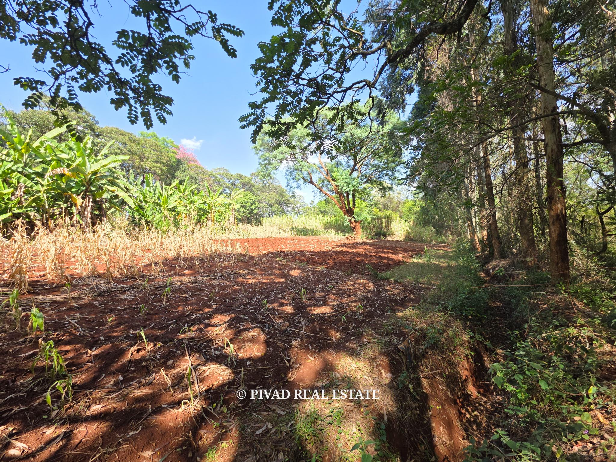 4.7 Acre Land For Sale in Old Kitisuru