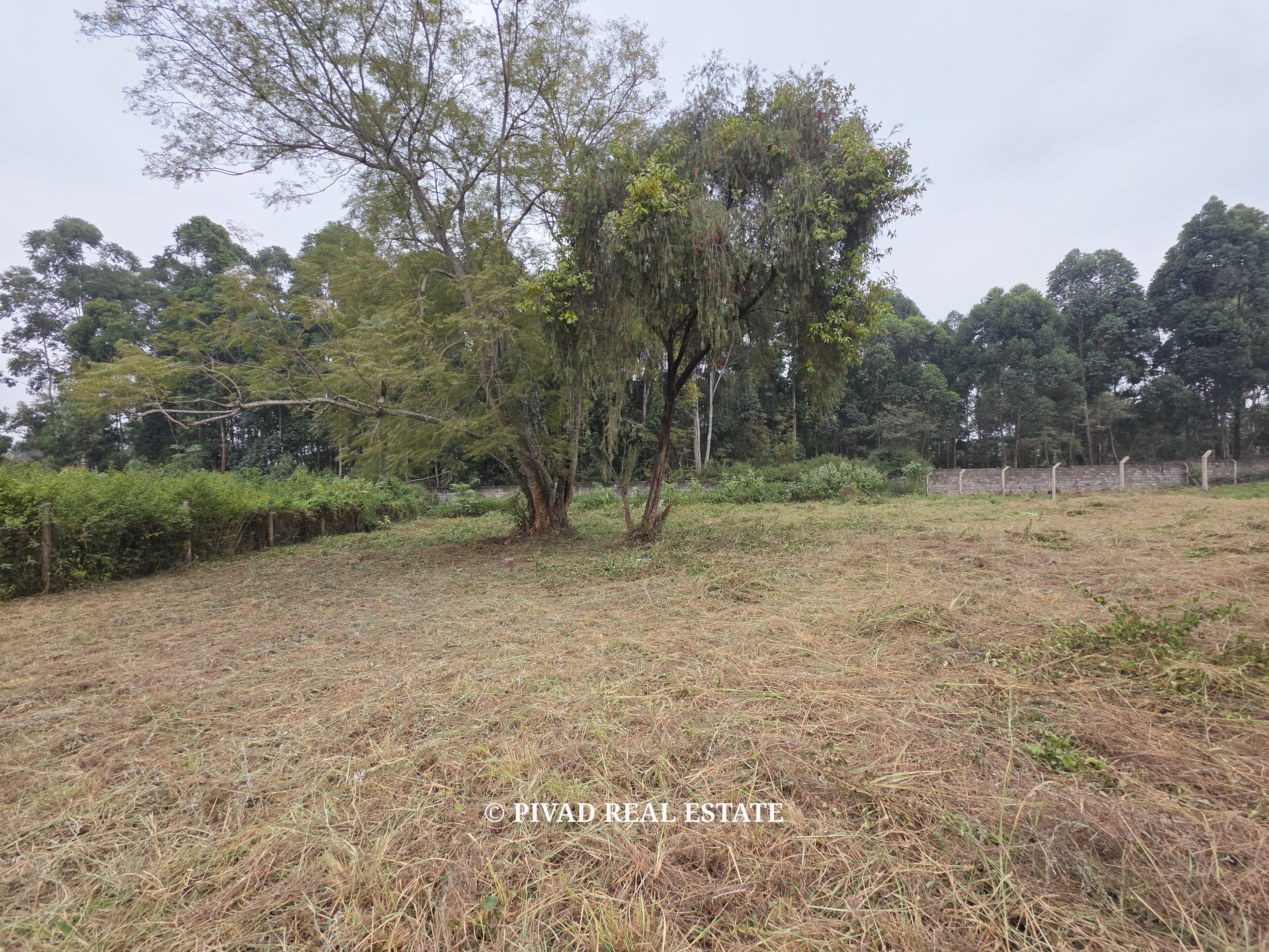 Half Acre Plot for Sale in Garden Court, Garden Estate