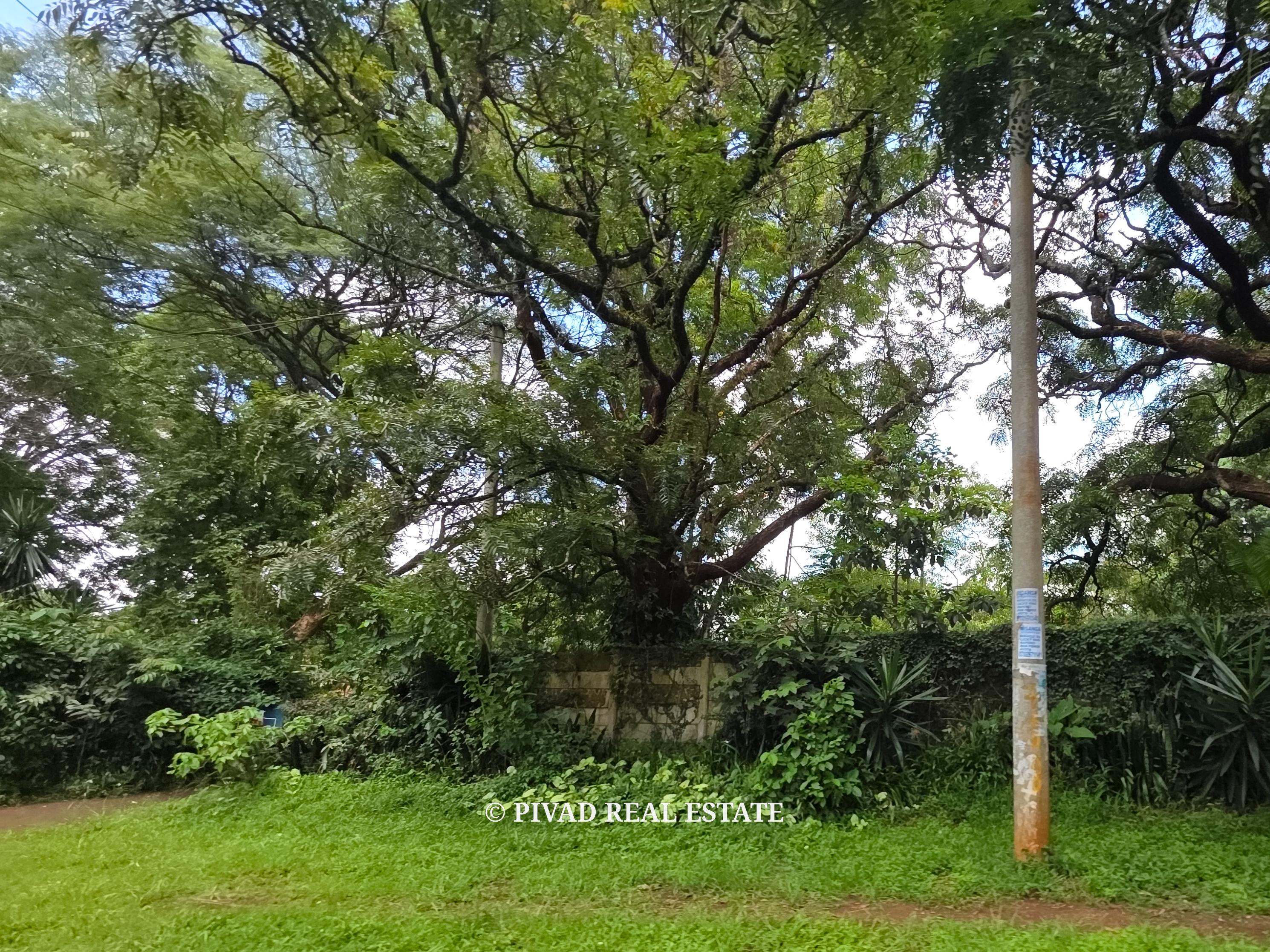 2 Acres Land Available For Sale in Lower Kabete