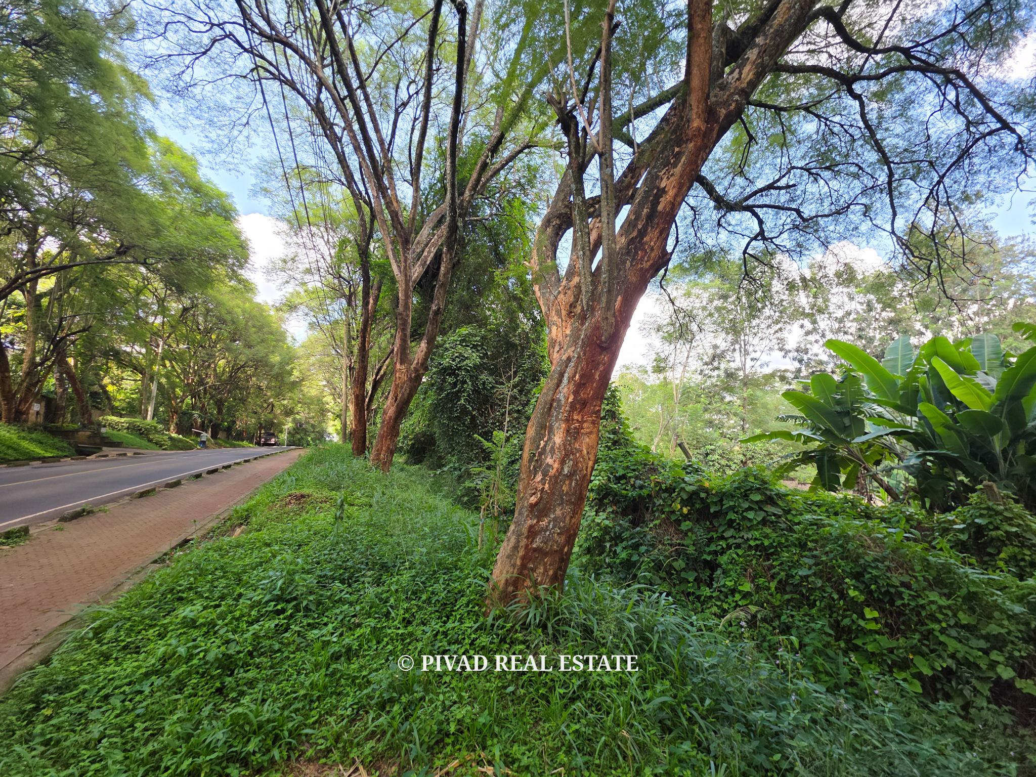 2.3 Acre Residential Land Available For Sale in Old Kitisuru, Along Ngecha road