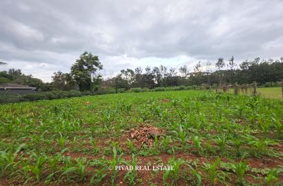 0.5 Acre Land Available For Sale at Ridgeways Estate