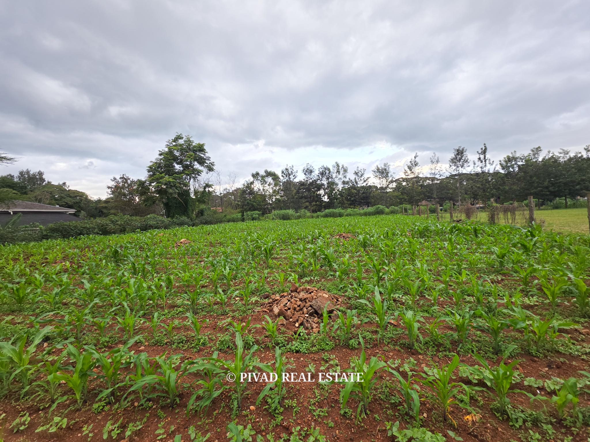 0.5 Acre Land Available For Sale at Ridgeways Estate