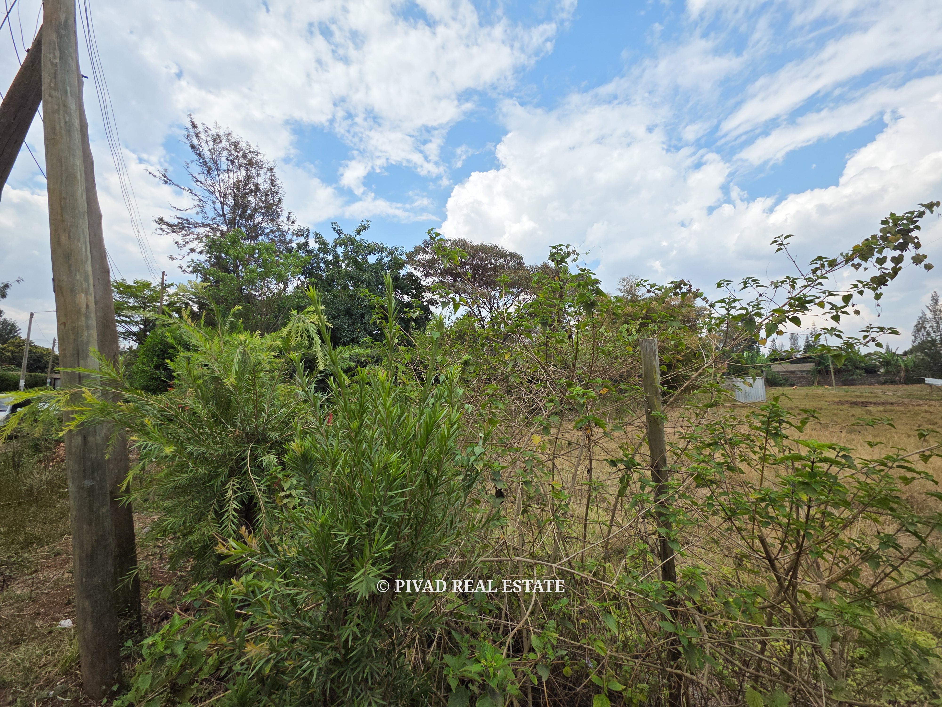 Half Acre for Sale in Thome Mugumo-ini Drive